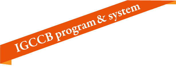 IGCCB program&system