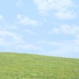 草原と空の写真