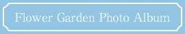 Flower Garden Photo Album