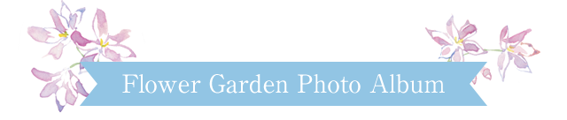 Flower Garden Photo Album